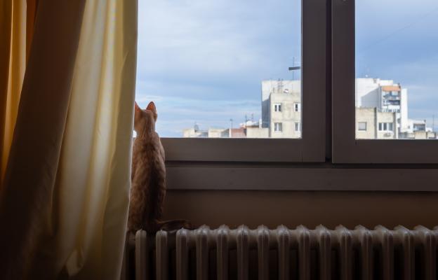Котка