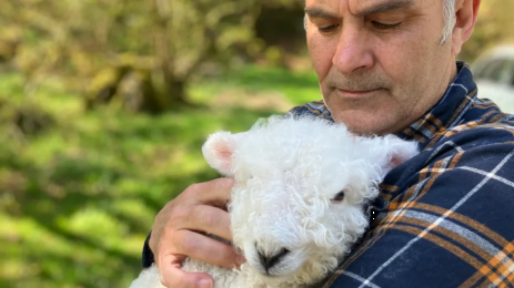 Стивън Кийли