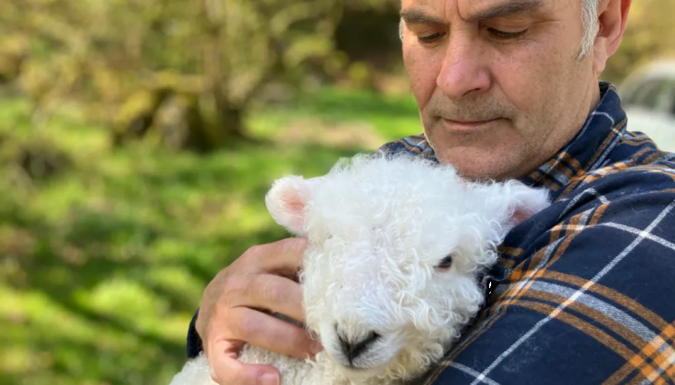 Стивън Кийли - Агро Телеграф: Брокер на имоти стана овчар