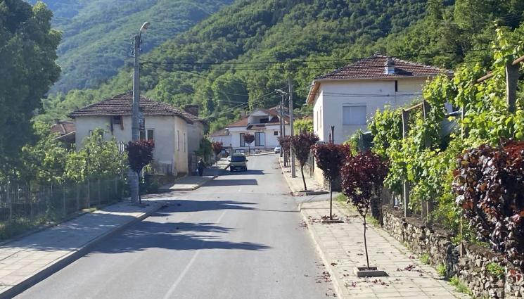 сливи - Агро Телеграф: Село кастри сливи като чаши вино