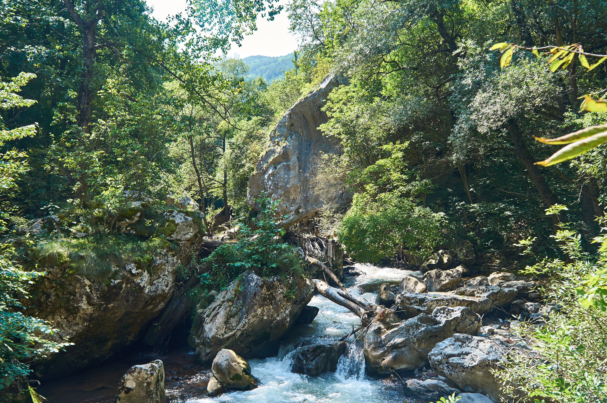 ждрело река Ерма Трън