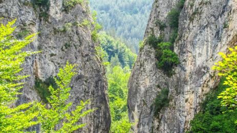 ждрело река Ерма Трън