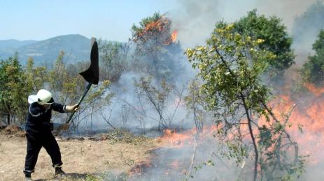 горски пожари