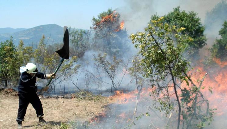 горски пожари - Дронове и термобинокли срещу горски пожари