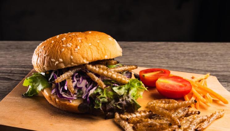 насекоми храна - КОНСУЛТ: Центърът за оценка на риска по хранителната верига апелира: Забранетe насекомите в хляба, баницата и сиренето