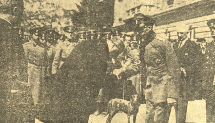 Александър Цанков