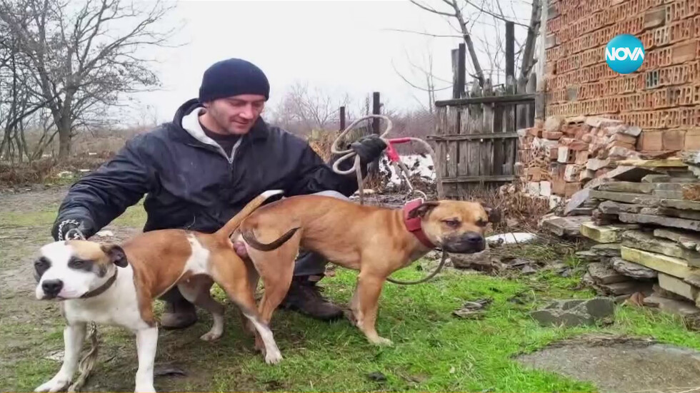 константин