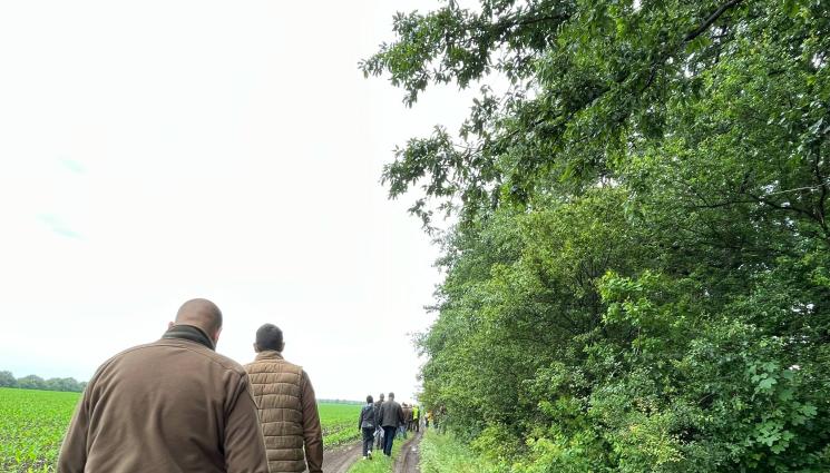 агро - Агро телеграф: Суховей заплашва да превърне нивите в степ