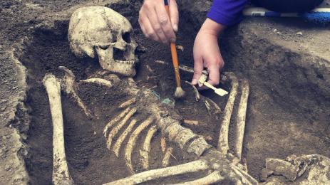 скелет археология кости