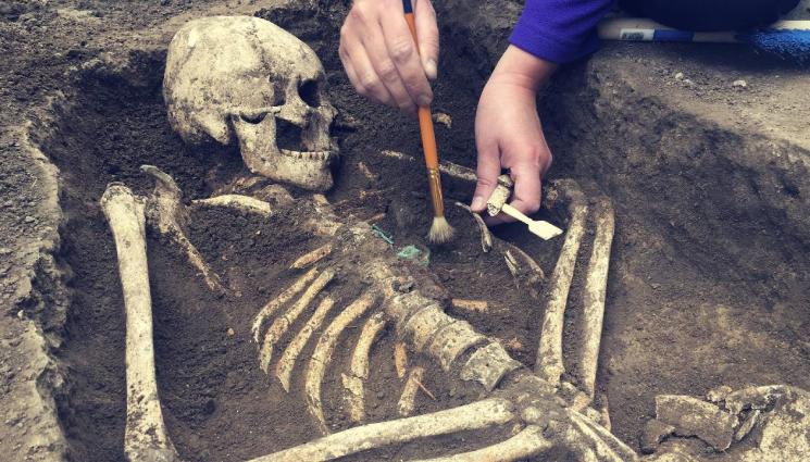 скелет археология кости - В Колумбия откриха човешки останки от мистериозно древно население