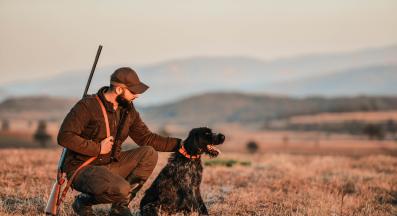 куче човек лов