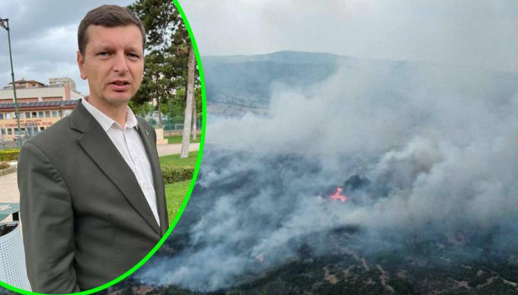 Росен Райчев - Зам.-шефът на Изпълнителна агенция по горите Росен Райчев пред