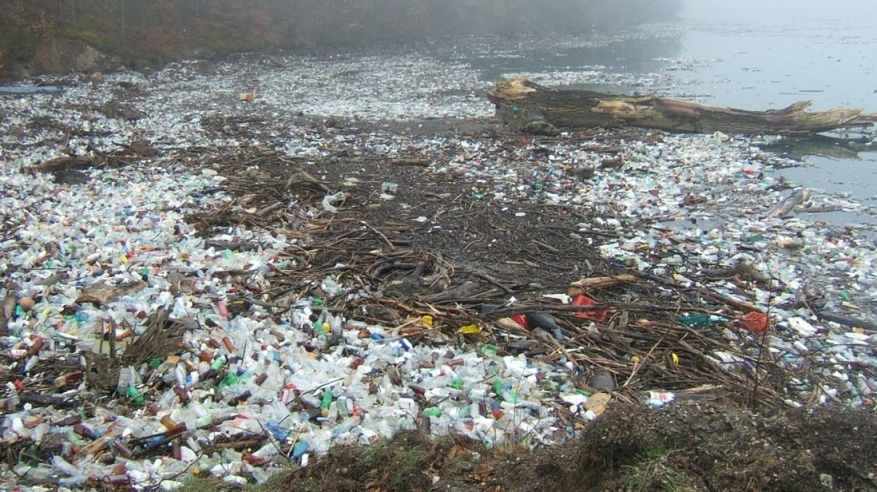 Пластмасата е във фокуса на днешния Световен ден на околната среда 