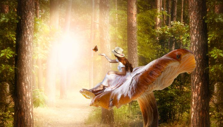 гъба - УНИКАЛНО! Правят шапки от гъби