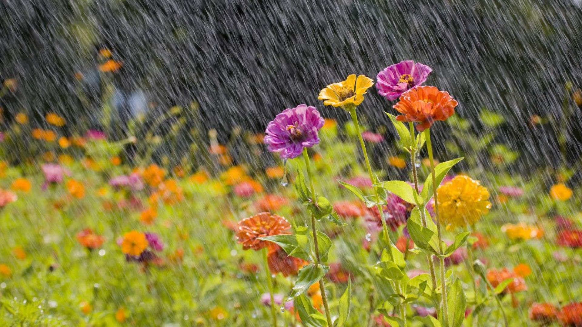 Предупреждение от първа степен – жълт код е издадено за