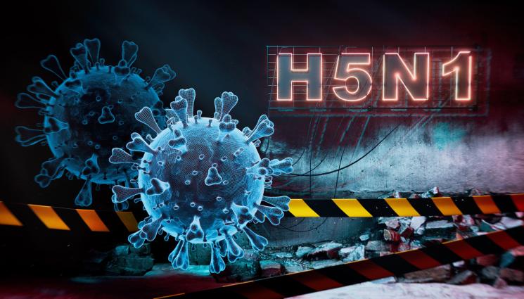 HKU5 - КОШМАРЪТ СЕ ЗАВРЪЩА? Нов вирус е на крачка от разпалване на пандемия!