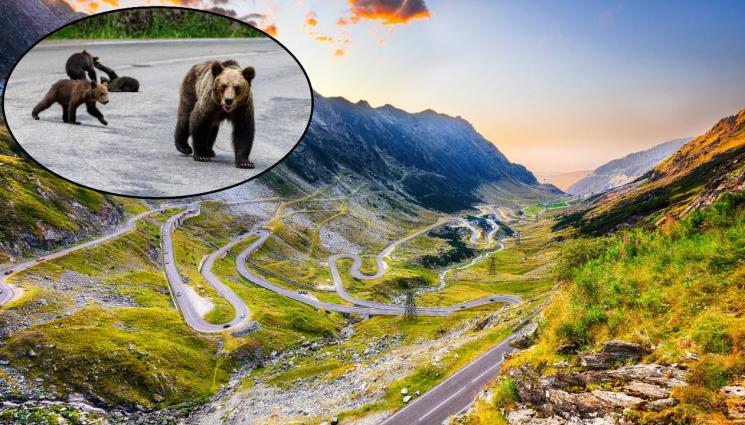 Трансфъгърашан - Отвориха най-известният планински път в Румъния – Трансфъгърашан (ВИДЕО)