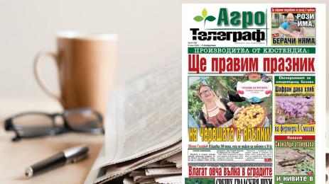 Агро Телеграф