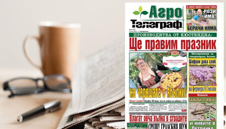 Агро Телеграф - Как ще празнуват Черешов ден в Кюстендил?