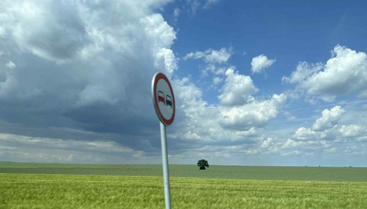 нива - Агро Телеграф: Пшеницата налива зърно