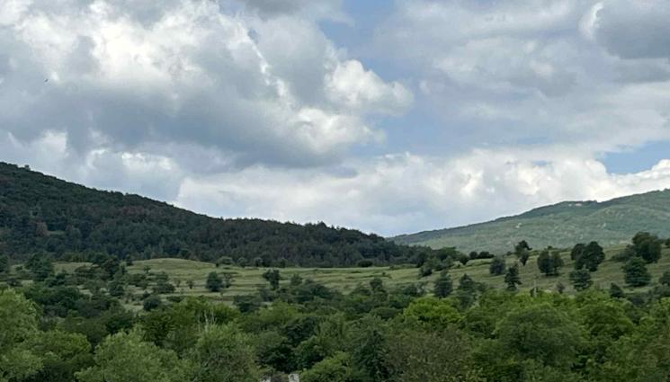 овце - Агро Телеграф: Нов хит в екостроителството