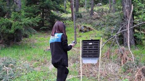 корояди пирин капани