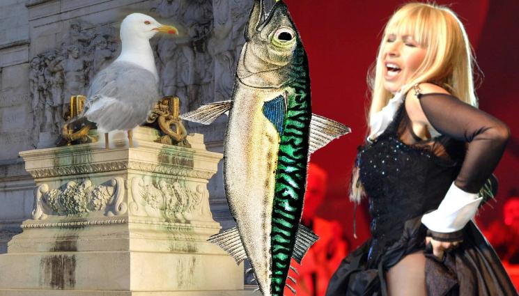 паметник - МЪДРЯТ НОВ ПАМЕТНИК: Увековечаваме скумрията, гларуса или Лили Иванова? (АНКЕТА)