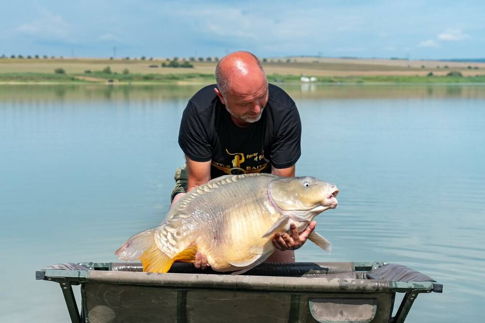 огледален шаран
