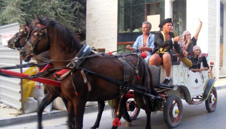 файтон - ВТРЕЩЕН ОЧЕВИДЕЦ АЛАРМИРА: Пребиват зверски конете, теглещи файтони в Слънчев бряг!