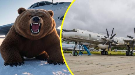 Самолет Туполев мечка