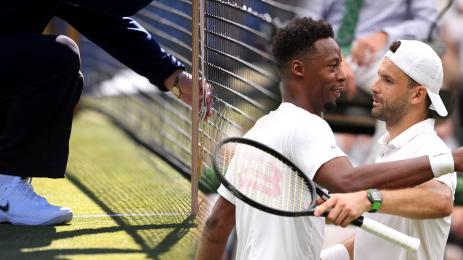 Димитров Монфис