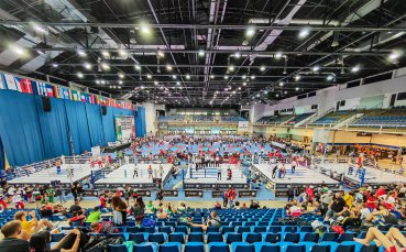 16 златни медала за България в предпоследния ден на Световната купа по кикбокс в Будапеща