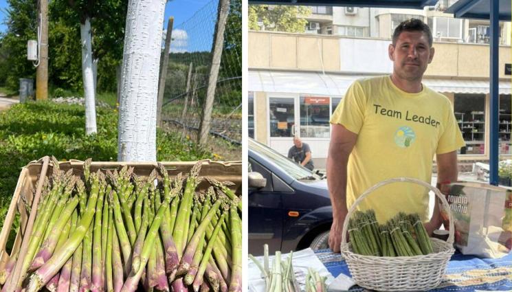 Христо Анчев - Съселянин на Котоошу гледа аспержи за „вдигане на самолета“!