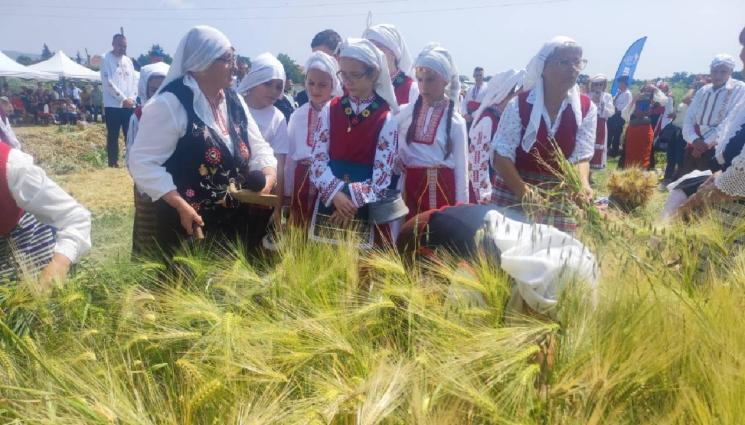 агро телеграф - Агро Телеграф: Жътвата започва!