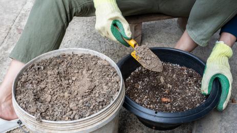 агро телеграф