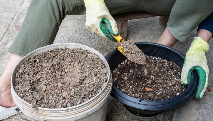 агро телеграф - Агро Телеграф: Брашното от лава балансира почвата