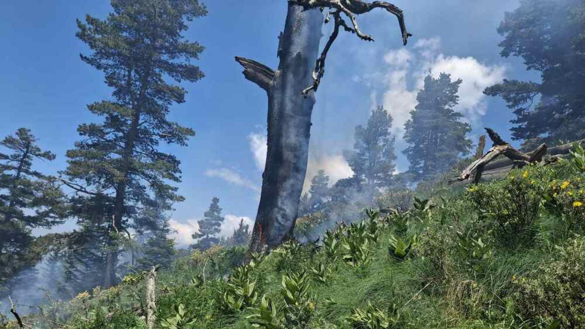 Низов пожар избухна в горски територии на 2000 метра надморска