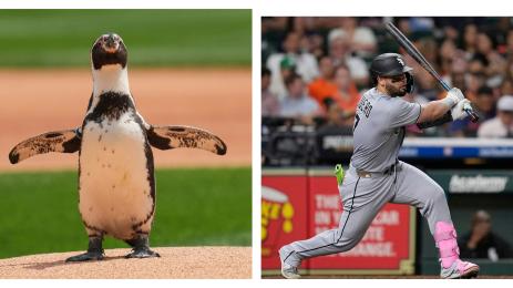 Чикаго Уайт Сокс Пепе