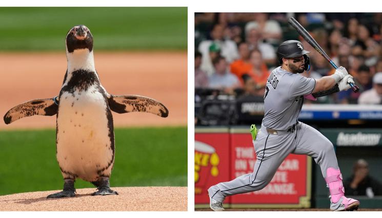 Чикаго Уайт Сокс Пепе - Пингвин даде началото на мач по бейзбол