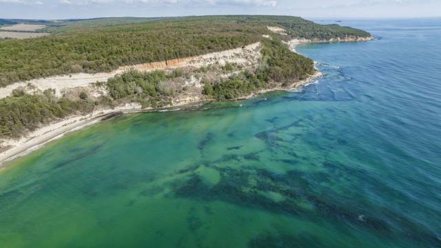 Най-голямата подводна река в света се намира в Черно море (СНИМКИ/ВИДЕО)