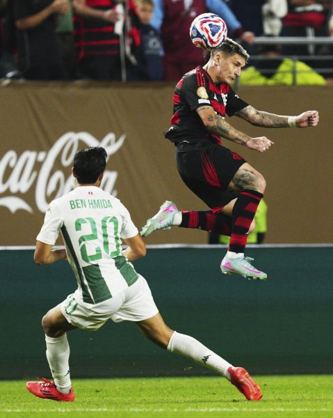 Фламенго Есперанс Тунис1