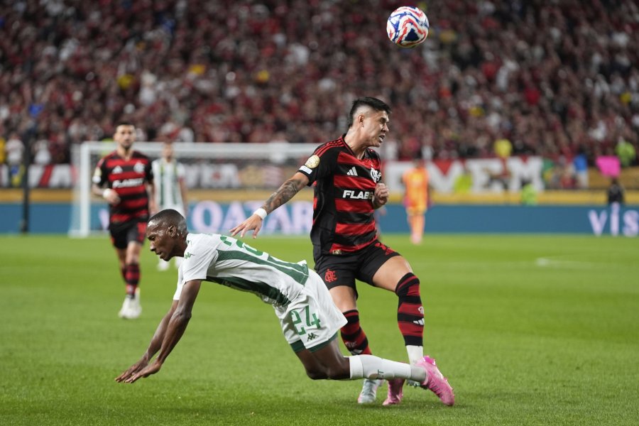 Фламенго Есперанс Тунис1