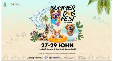 Summer dog fest