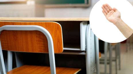 училище шамар