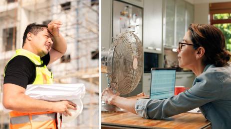 работа жега