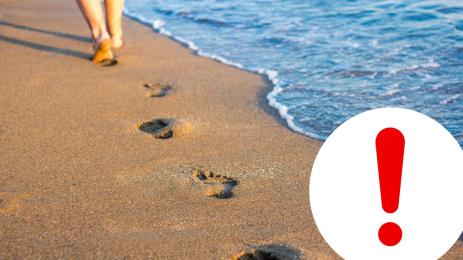 плаж летовници тревога