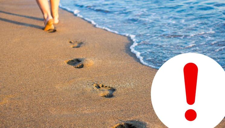 плаж летовници тревога - ПОД ЗАПЛАХА: Отровни морски същества ужасиха летовници! (СНИМКИ)