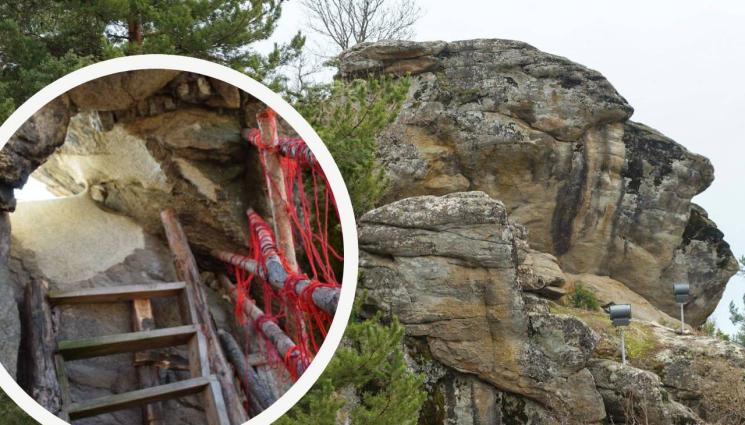 крибул - ЧУДО: Черна змия спасява от тежки болести!