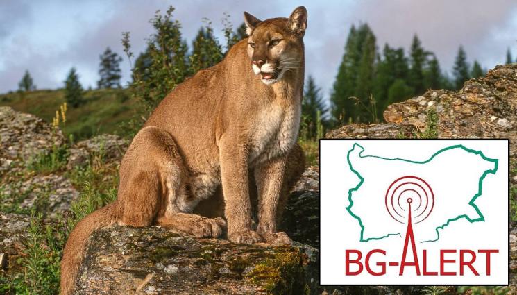 d - BG-Alert предупреди за хищника в Шумен