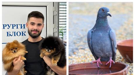 Др Йоан Славчев